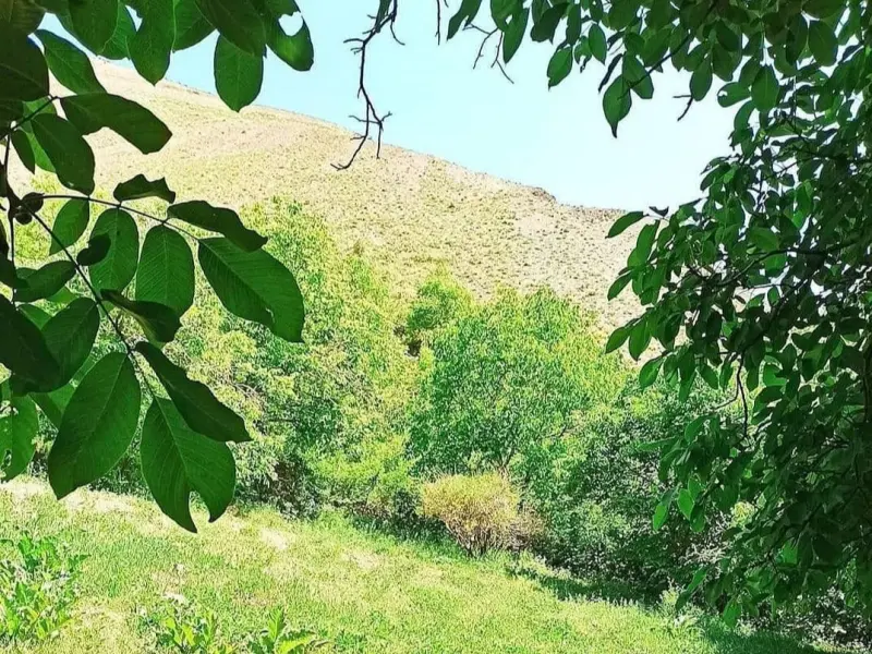 روستای زایگان