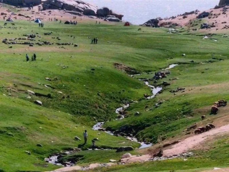 دشت میشان - تصویر 3