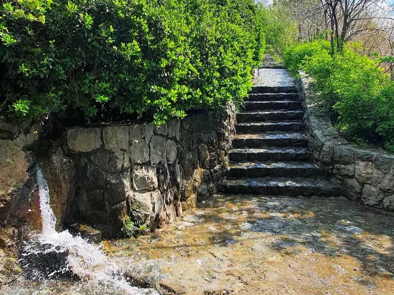 پارک جنگلی امام رضا - تصویر 5