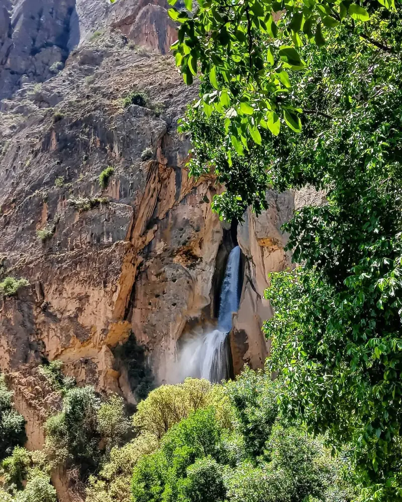 روستای شاهان دشت - تصویر 2