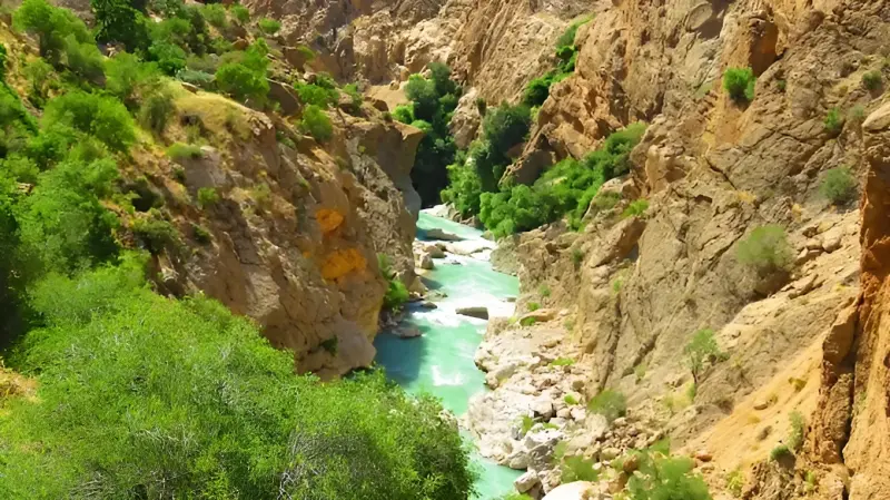 چشمه بیدملون - تصویر 1