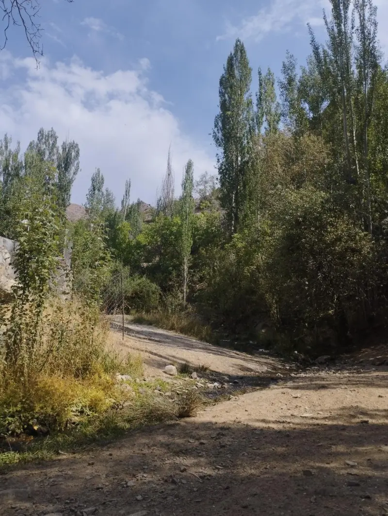 روستای قزاآن - تصویر 4
