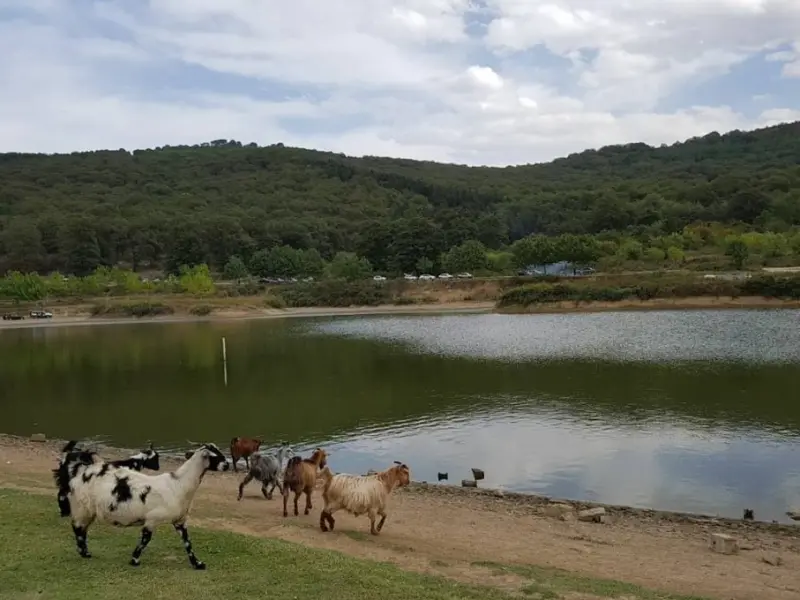 دریاچه توشن - تصویر 1
