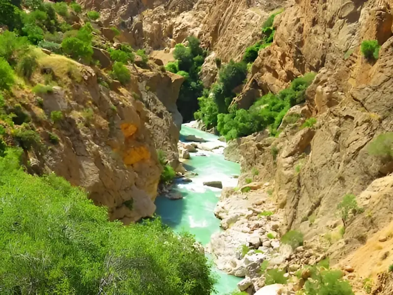 چشمه بیدملون - تصویر 1