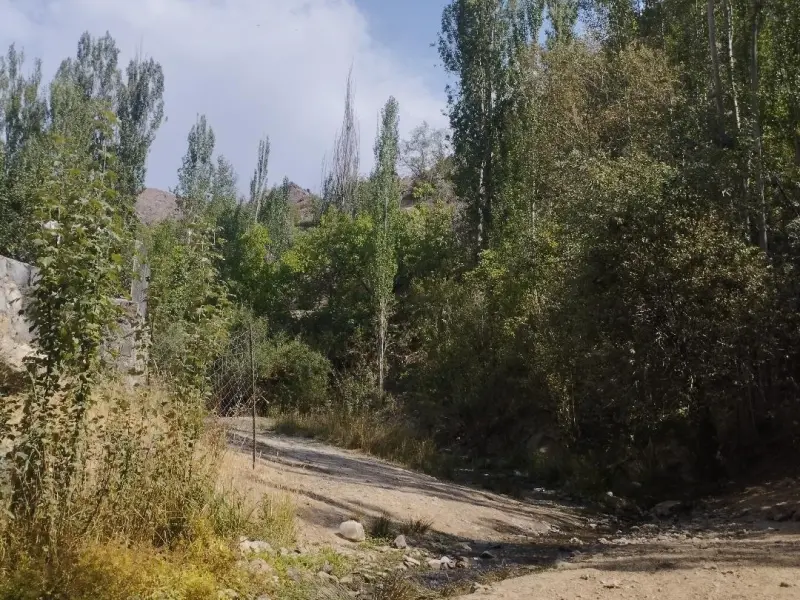 روستای قزاآن - تصویر 4