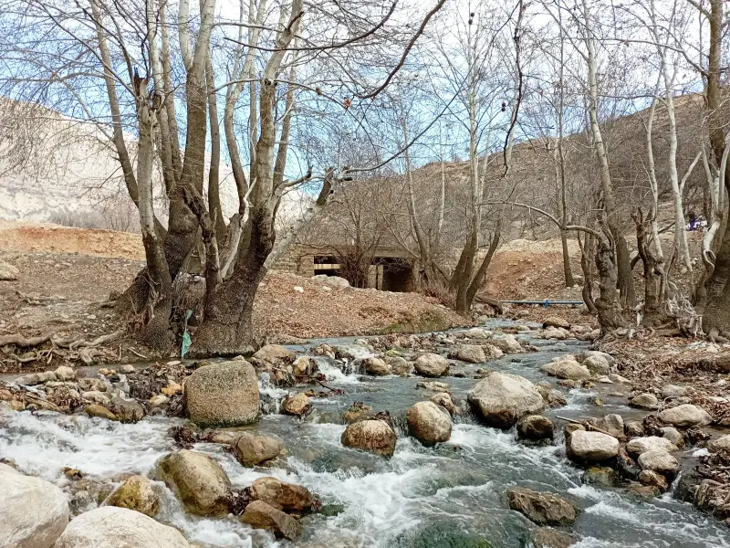 تنگ گنجه‌‌اى