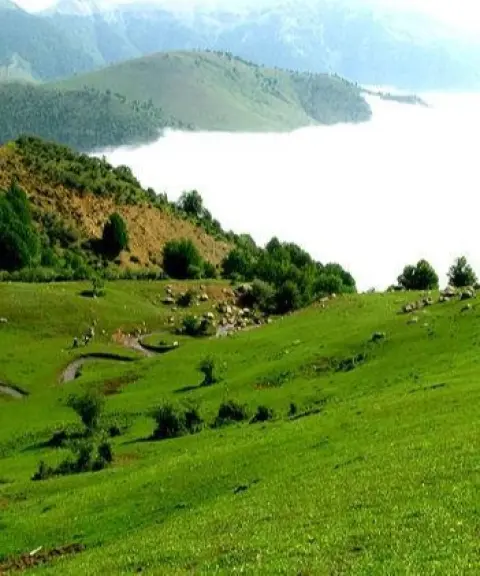 پارک جنگلی هلودشت، گیلان
