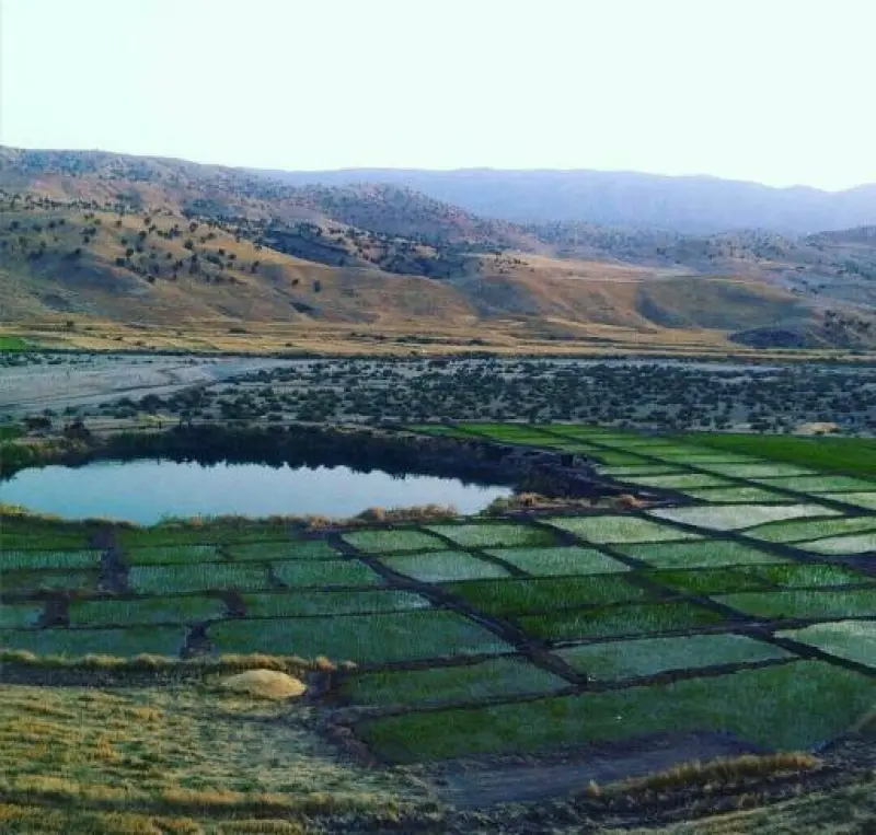 تالاب زمزم - تصویر 3