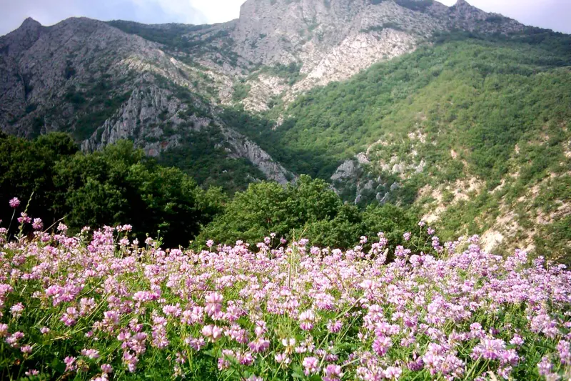 روستای درکش - تصویر 1