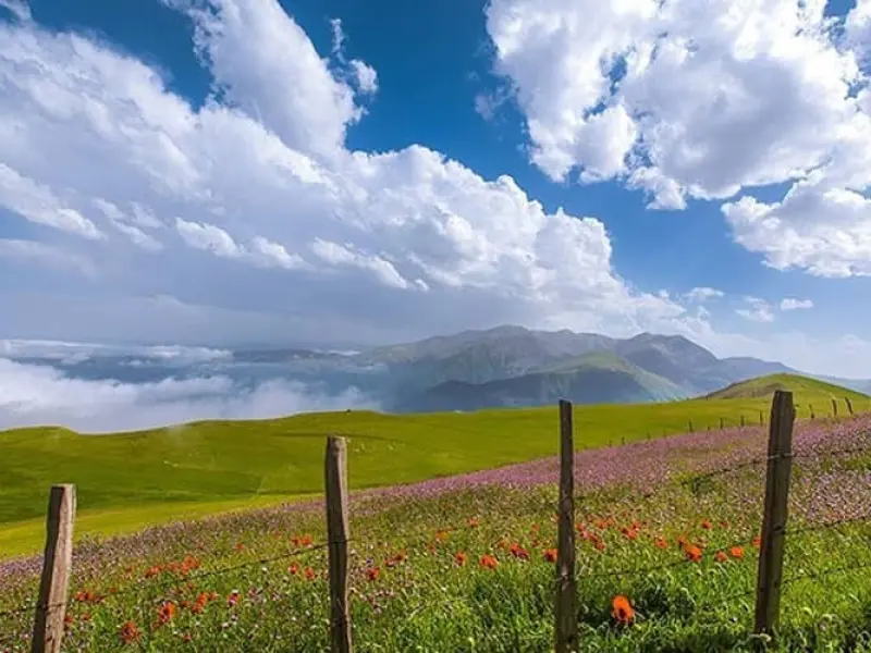 شکردشت