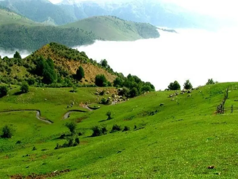 پارک جنگلی هلودشت