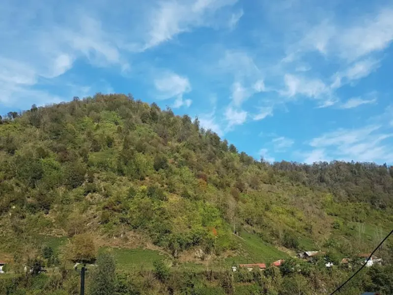 روستای فوشه - تصویر 5