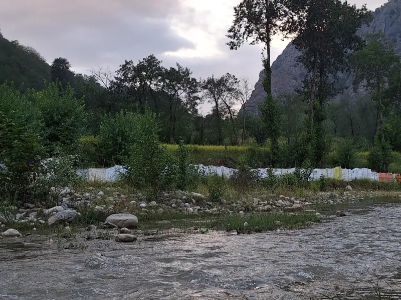 جنگل چهل چای - تصویر 7