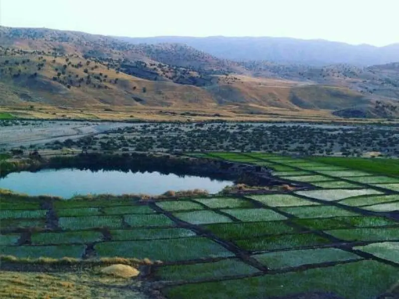 تالاب زمزم - تصویر 3
