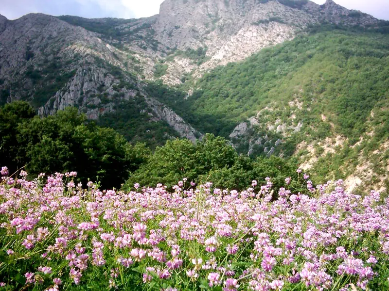 روستای درکش - تصویر 1
