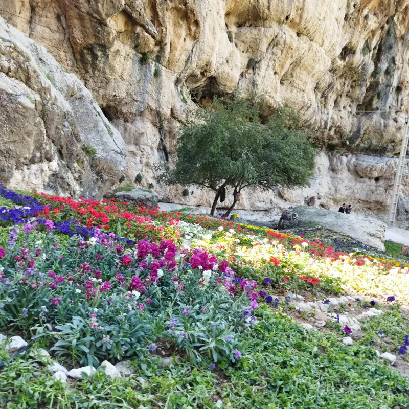 غار اشکفت سلیمان - تصویر 3