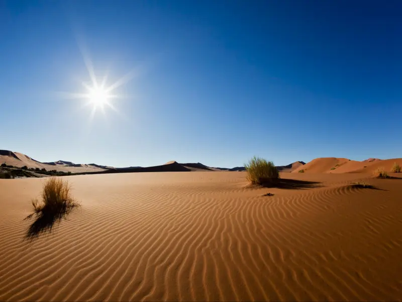 کویر دلازیان