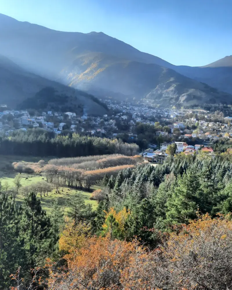 بوستان جنگلی صیقل محله - تصویر 2