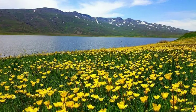 دریاچه نئور - تصویر 6
