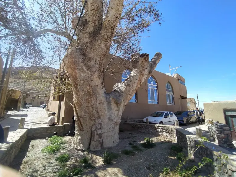 روستای قلعه بالا - تصویر 4