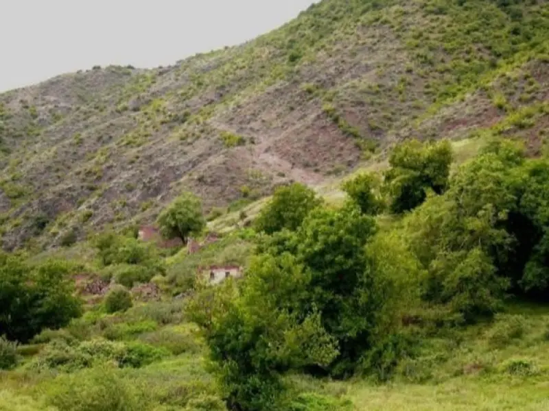 منطقه حفاظت‌شده خیبوس و انجیل‌سی - تصویر 5