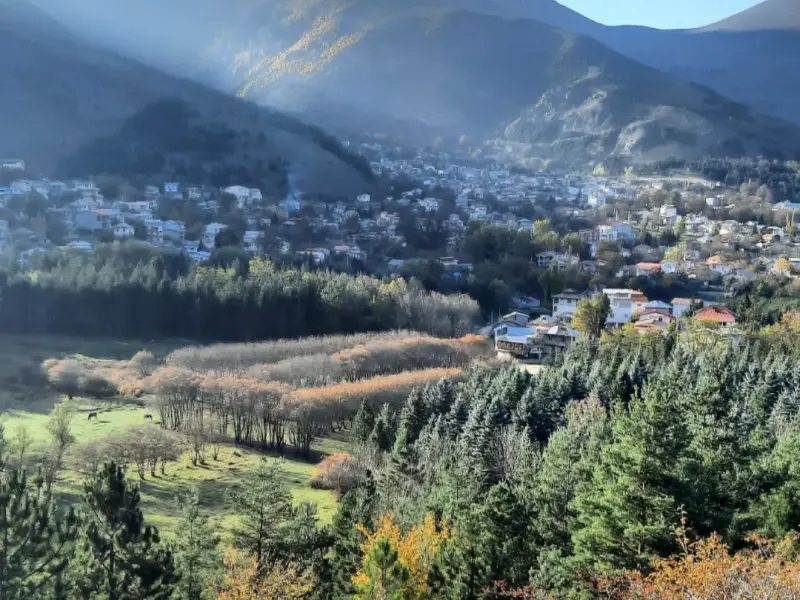 بوستان جنگلی صیقل محله - تصویر 2