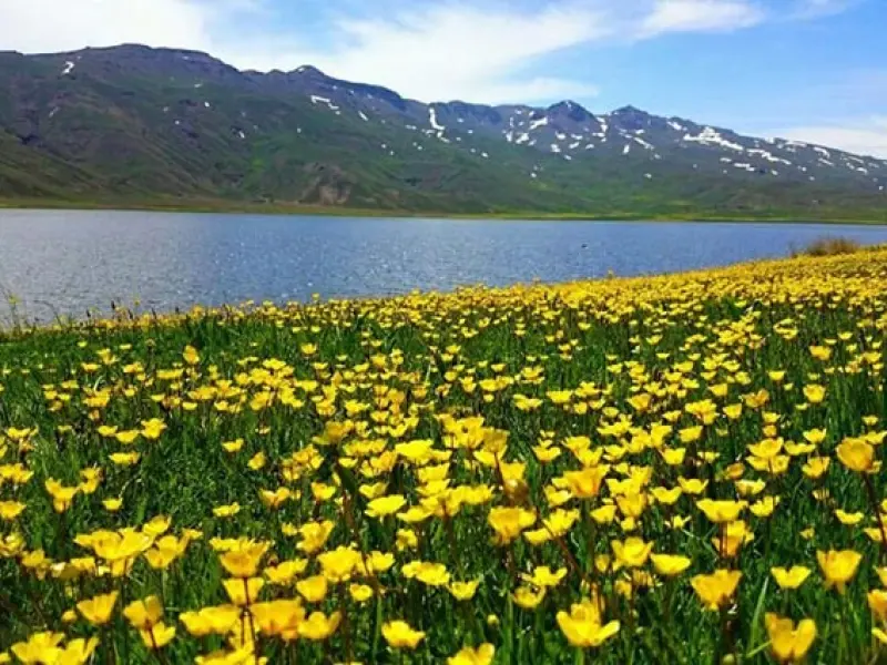 دریاچه نئور - تصویر 6