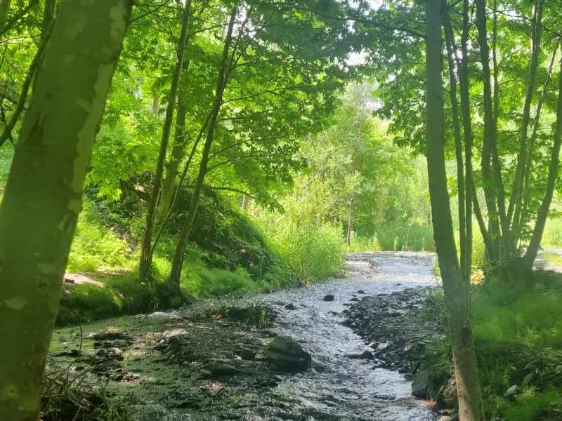 دره کشوه - تصویر 2
