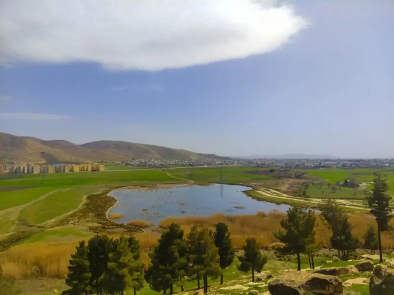 ناوتنگ منصوری