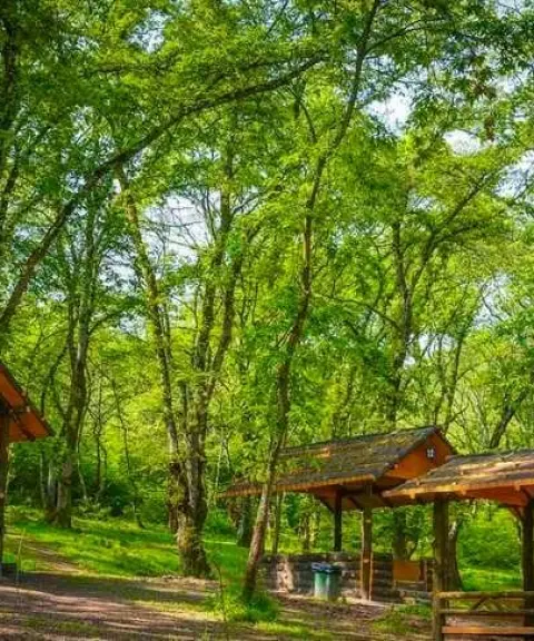 پارک جنگلی شهید زارع، مازندران