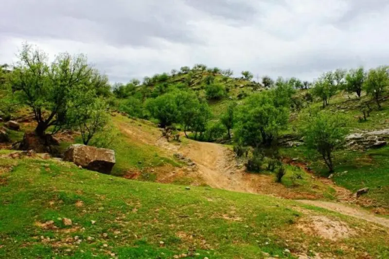 پارک ملی دز - تصویر 3