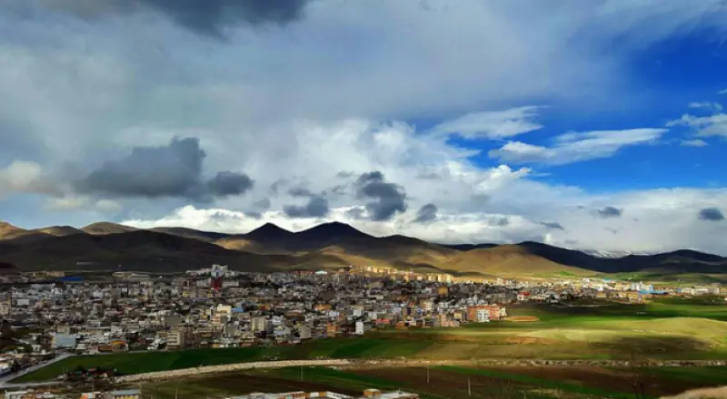 قالی کوه - تصویر 4