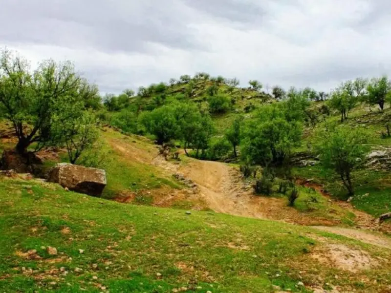 پارک ملی دز - تصویر 3