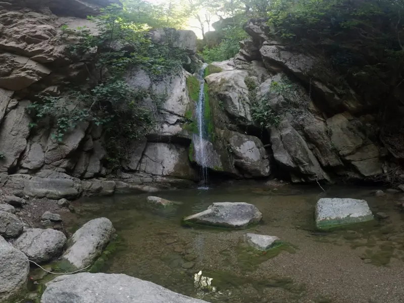آبشار سران - تصویر 4