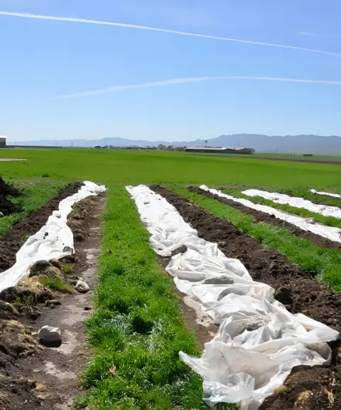 روستای چقاگینو، کرمانشاه