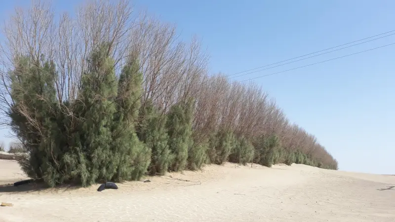 کویر بشرویه - تصویر 4