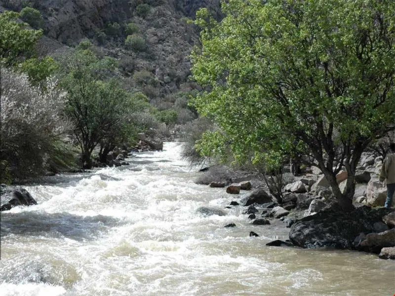 پارک ملی بختگان - تصویر 1