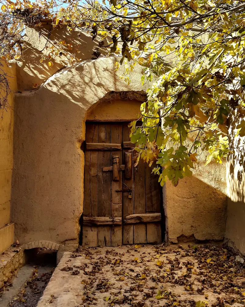 باغ پهلوان‌پور - تصویر 5