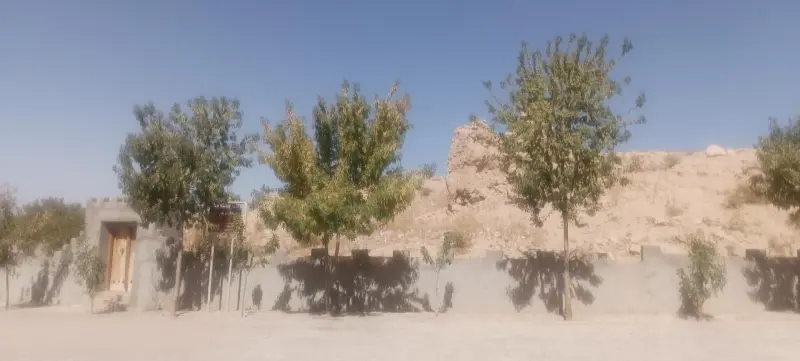 قلعه تاریخی الویر - تصویر 2