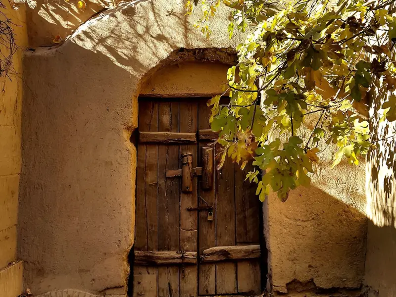 باغ پهلوان‌پور - تصویر 5