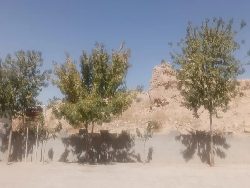 قلعه تاریخی الویر - تصویر 2