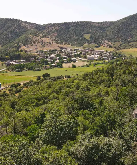 دشت بیلو، کردستان