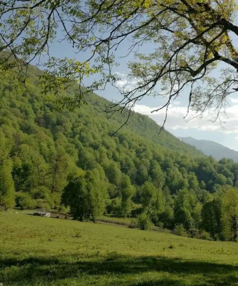 دشت شمسک، گلستان