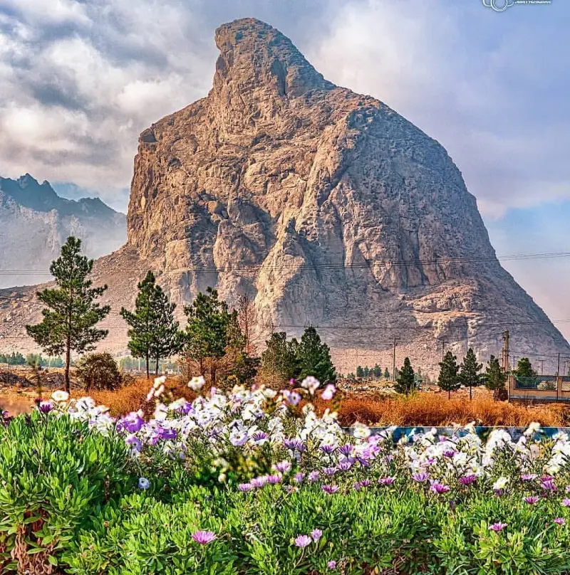 عقاب کوه - تصویر 8