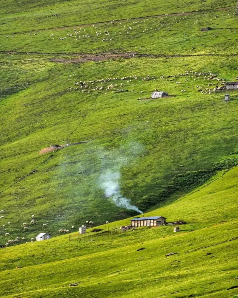 ییلاق پونل - تصویر 4