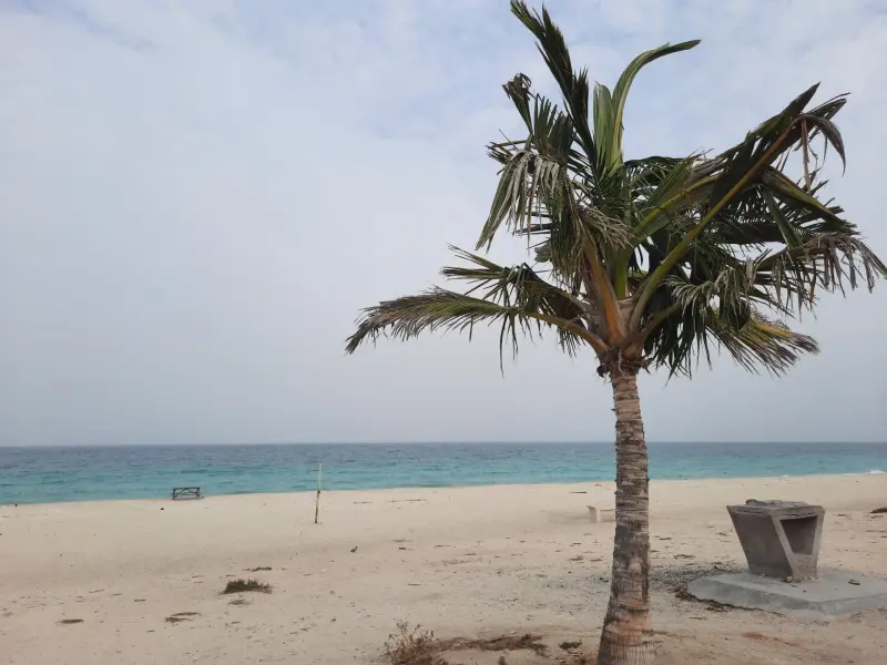ساحل سیمرغ - تصویر 3