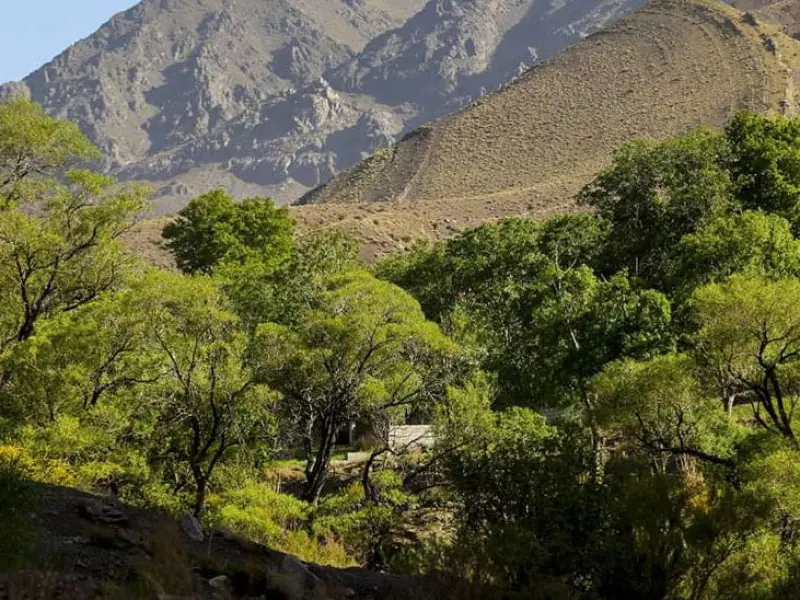 دره شنگستان - تصویر 1