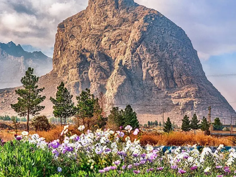 عقاب کوه - تصویر 8