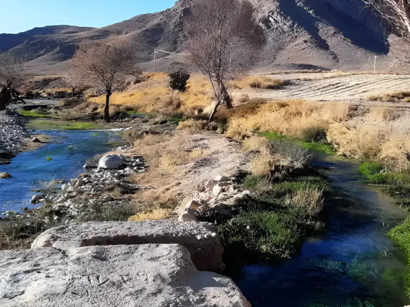 روستای همگین