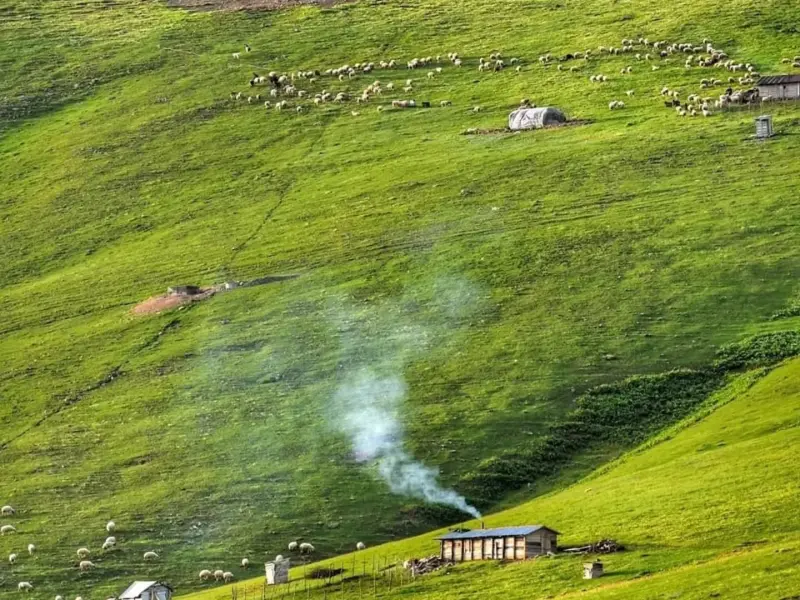 ییلاق پونل - تصویر 4